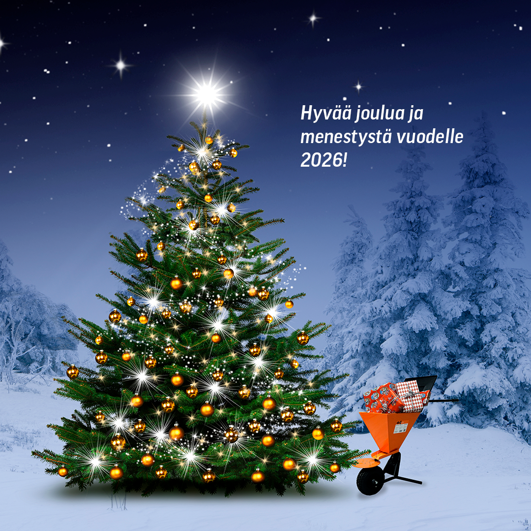 Joulutervehdys 2025!